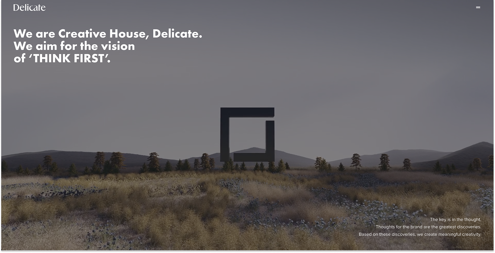 Delicate entrance film
